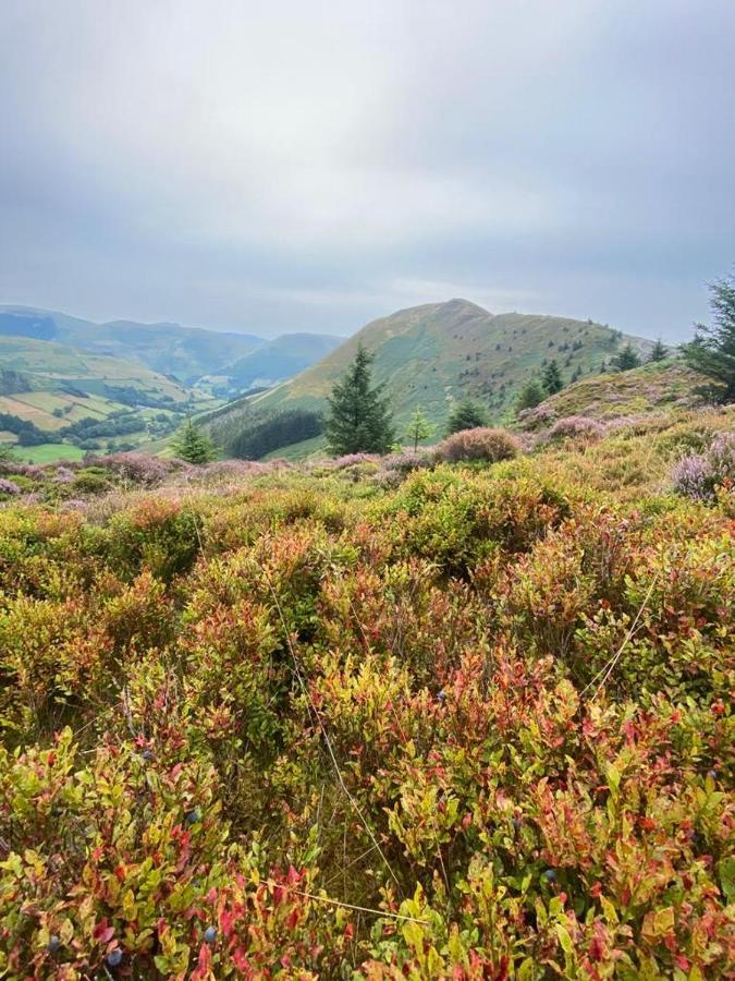 Glasfryn Cottage Dolgellau Bagian luar foto